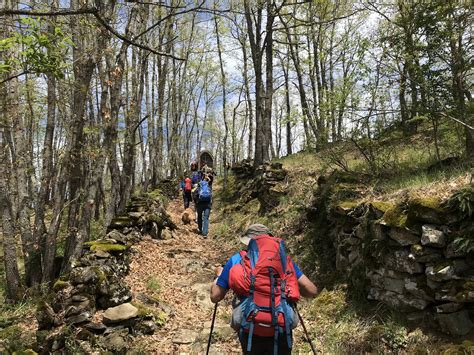 Coppia con bambino che utilizza l'Hauck Runner su un sentiero di montagna