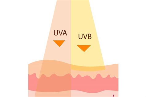Schema dei raggi UVA e UVB e la loro interazione con la pelle
