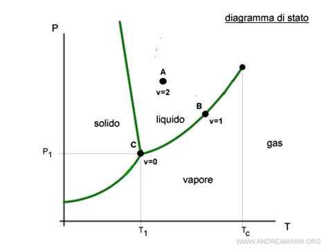 Diagramma delle fasi dell'aborto spontaneo