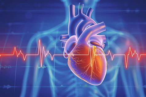 Grafico che illustra la teoria popolare sulla frequenza cardiaca e il sesso del bambino