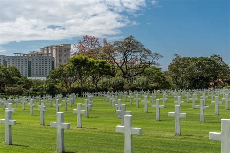 Campo di piccole croci bianche in un cimitero