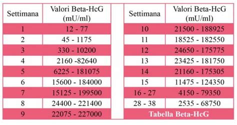 Grafico dei livelli di Beta HCG durante le prime settimane di gravidanza