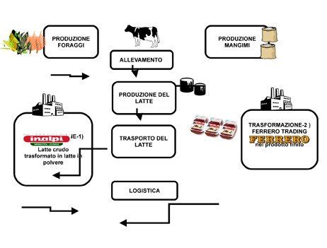 Diagramma che illustra il ciclo di produzione del latte in polvere e i potenziali punti di contaminazione