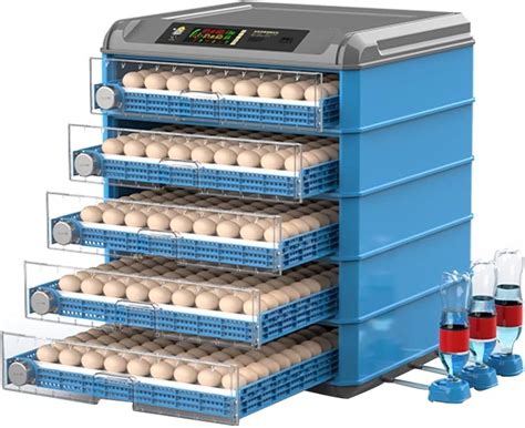 Incubatrice per uova di gallina