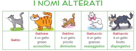 Infografica che mostra diversi suffissi alterativi italiani e i loro significati (diminutivo, accrescitivo, vezzeggiativo, dispregiativo)