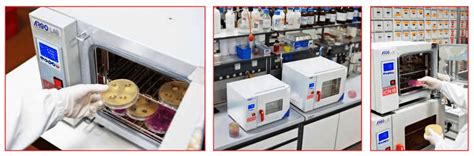 Laboratorio di FIVET con incubatori