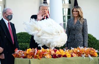 Donald Trump con i tacchini graziati