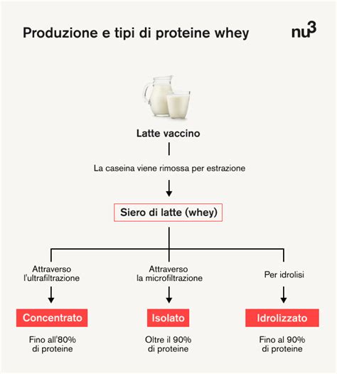 Diagramma comparativo dei tipi di proteine whey