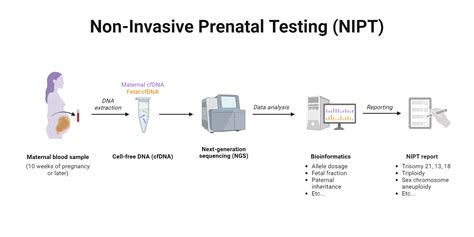 Diagramma del test NIPT