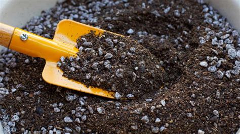 Ingredienti per la preparazione di terriccio fai-da-te