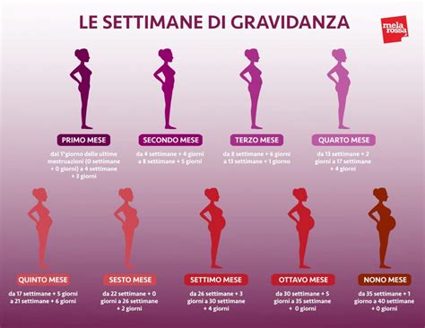 Grafico dell'andamento dei livelli di Beta-hCG durante le prime settimane di gravidanza