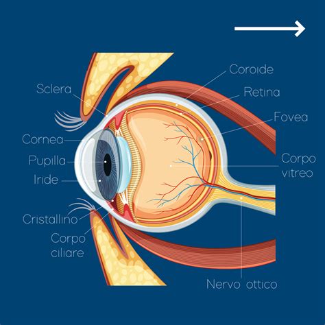 Immagine stilizzata di un occhio umano con un nervo ottico danneggiato