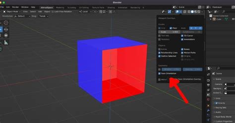 Screenshot delle proprietà del materiale in Blender che mostra l'opzione Backface Culling abilitata per la fotocamera