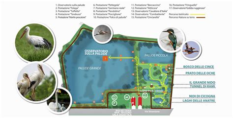 Mappa di Racconigi con evidenziata la posizione dell'asilo