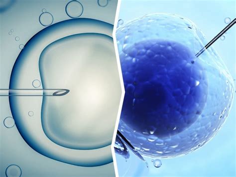 Diagramma che illustra la diminuzione della qualità degli ovociti con l'età