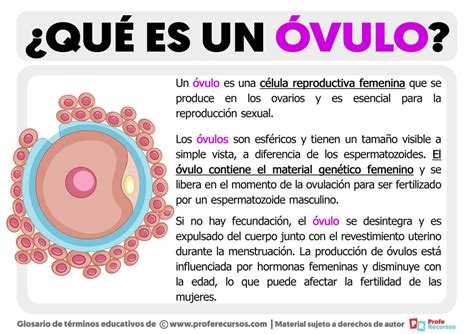 Diagramma che illustra l'introduzione corretta di un ovulo vaginale