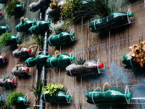 Hotel per insetti fatto con bottiglie di plastica