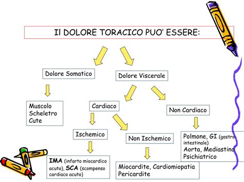 Schema che differenzia i sintomi del dolore toracico di origine cardiaca da quelli di origine gastrointestinale