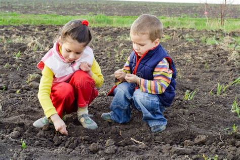 Bambini che piantano semi in un orto scolastico