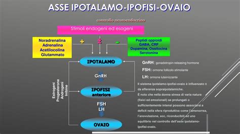 Schema dell'asse ipotalamo-ipofisi-ovaio