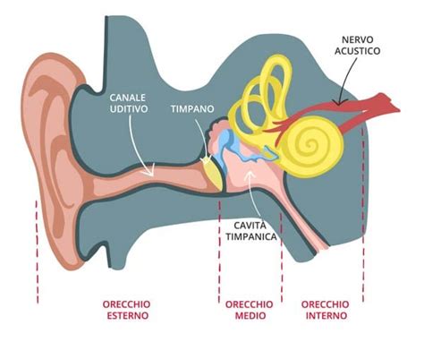 Schema dei sintomi comuni dell'infiammazione del nervo acustico