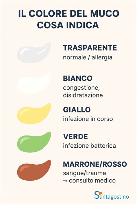 Diagramma delle vie respiratorie con evidenziato il muco in eccesso