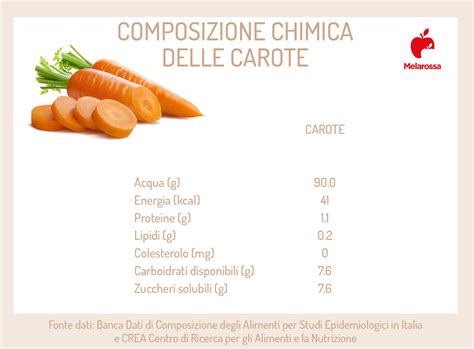 composizione nutrizionale delle carote