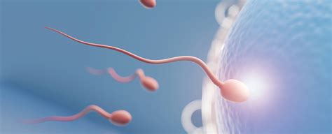 Schema di un percorso diagnostico per l'infertilità di coppia