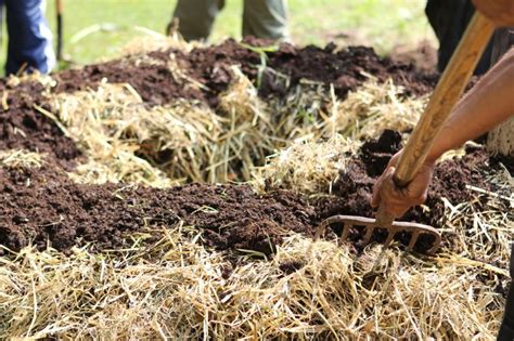 Compost Biodinamico