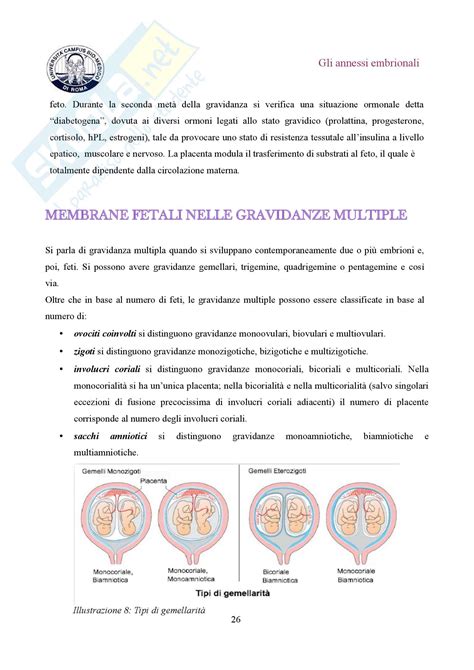 Illustrazione di diverse classificazioni embrionali