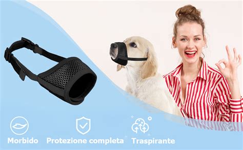 Illustrazione di un cane con museruola e guinzaglio