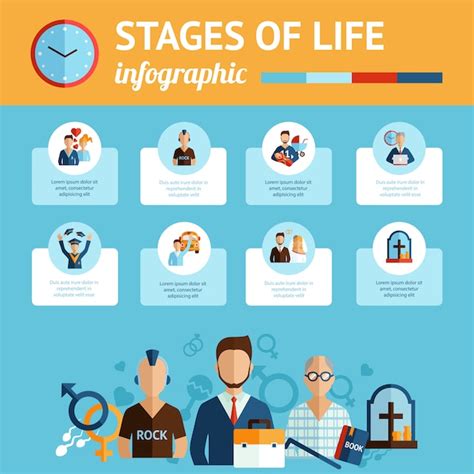 Infografica sulle fasi della FIVET/ICSI