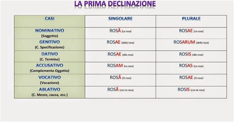 Tabella della prima declinazione latina con esempi