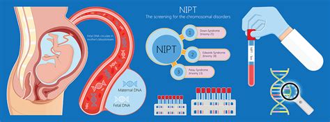 Schema del funzionamento del test NIPT