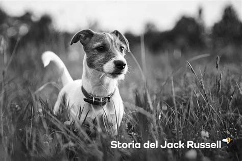 Reverendo John Russell con i suoi cani
