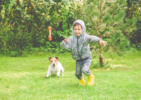 Bambino che gioca con un Jack Russell Terrier