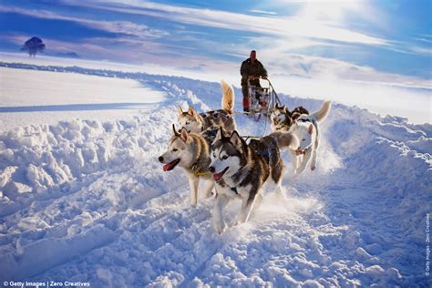 Un team di cani Husky che traina una slitta sulla neve con persone a bordo