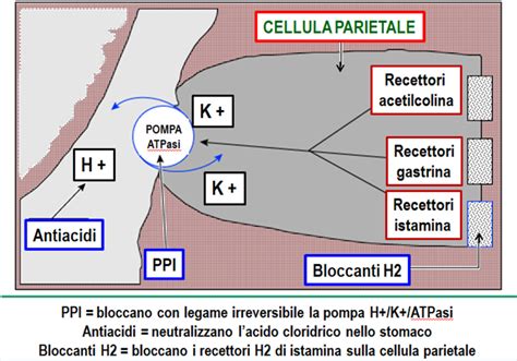Schema che illustra il meccanismo d'azione degli Inibitori di Pompa Protonica (IPP)