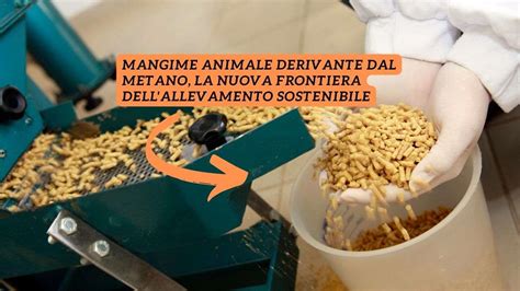 Simbolo di una confezione di mangime per animali