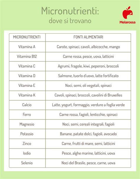 Infografica che evidenzia i nutrienti chiave da monitorare nello svezzamento vegetariano: Vitamina B12, Ferro, Zinco, Proteine, DHA, Calcio, Vitamina D.